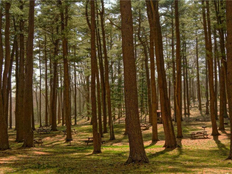 sudoku daily challenge