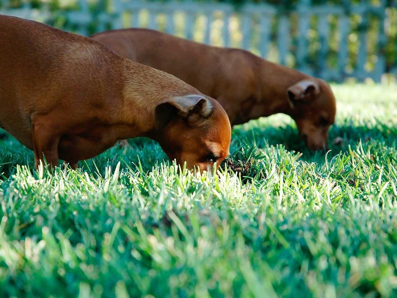 sudoku xy-wing screenshot 6